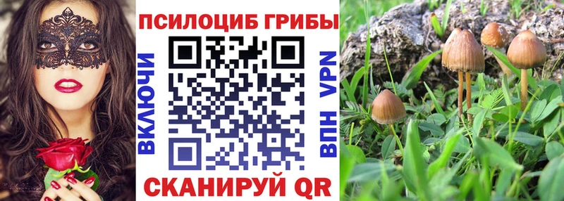 купить закладку  Мантурово  Галлюциногенные грибы Magic Shrooms 